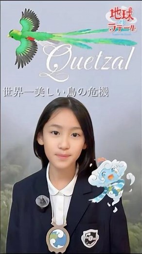 「世界一美しい」と言われる鳥、ケツァールを知っていますか？✨