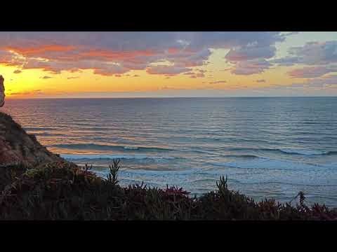 Lofi Instrumental – Soft Drum Beats for Study & Relaxation 🎧