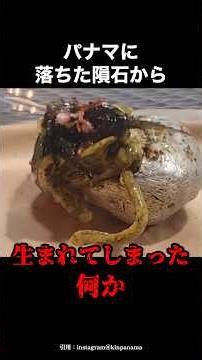 【閲覧注意】「パナマの隕石」から生まれた…正体はエイリアン