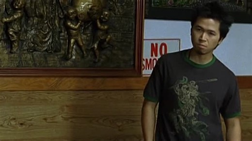 Baby.2008.DVDRip.XviD.PFa