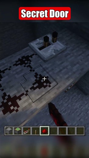 🔑 Secret Door in Minecraft! 🏰 Hidden Rooms & Tricks 🕵️‍♂️✨