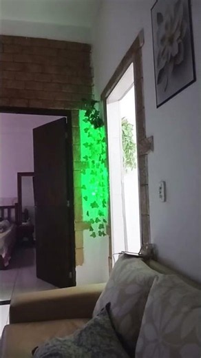 Destaque ao vivo