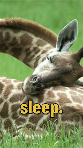 Falling asleep in class #vtuber #vtuberclips #mysclips