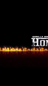 Gorilla Zoe on Reels