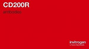 CD200R antibodies from Thermo Fisher Scientific