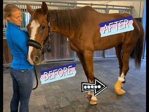 Arthrodèse du boulet sauve une jument 🙏🏻 ! AVANT & APRES #equitom #horse #cheval