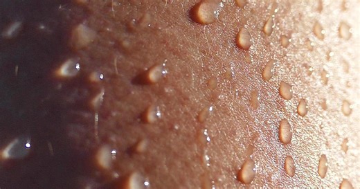 The science of sweat
