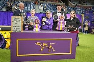 All-American Dog 'Nimble' Wins 2024 Masters Agility Championship at Westminster