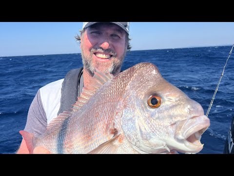 SNAPPER SESSION ON THE SHIMANO LUCANUS JIGS
