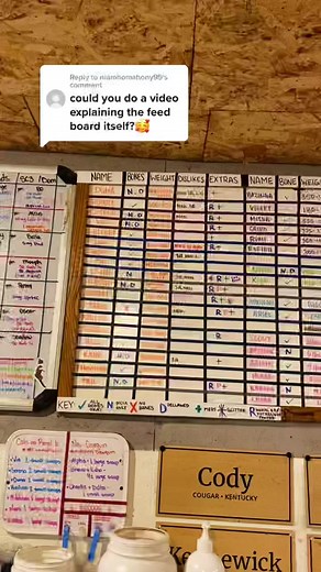 Caracal Diet: What Do These Wildcats Eat at Wildcat Ridge sanctuary?