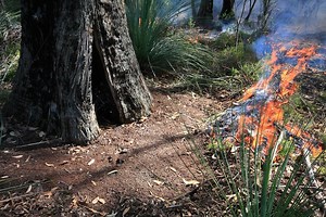 Department for Environment and Water - Why is fire important for the…