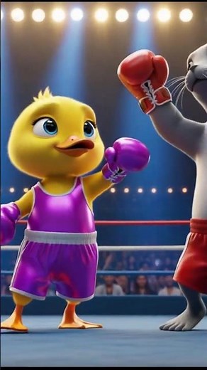 duck and seal boxing