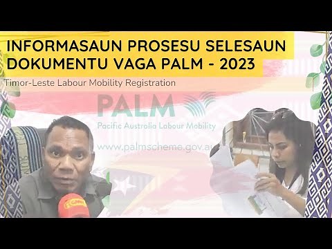 Updates on PALM Scheme Recruitment Process from SEFOPE-DNEE (Official).