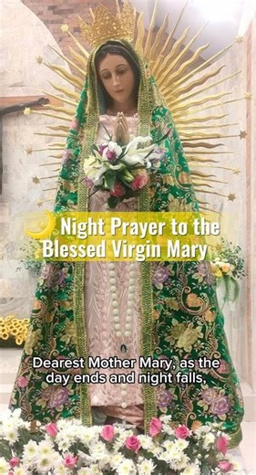 Night Prayer to the Blessed Virgin Mary 🌹|Seek Her Protection Before You Sleep