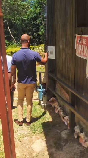 22K views · 190 reactions | The DDA / DHTA team out in the field for Tourism Awareness Month 2024. We just got a tour of @Bambooze Sulphur Baths in Soufriere! | Discover Dominica | Facebook