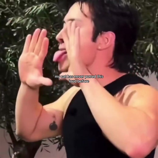 Understanding My Cat's Unusual Purring