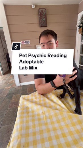 Pet Psychic Reading for Adoptable Pets in Honolulu