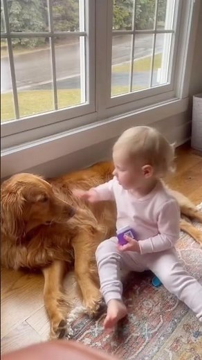 Dogs Best Friends🐶🥰 #dogsandbabies #dogs #dogloversusa #cat #dogshorts