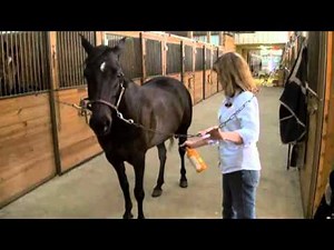 Absorbine Veterinary Liniment | Treat Lameness In Horses