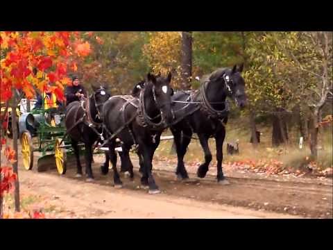 Horse Drawn Antique Road Grader