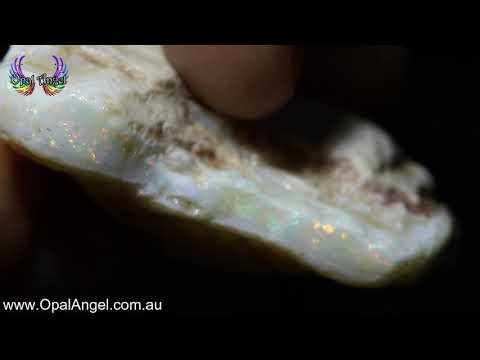 96.8ct Opalised Shell Over White Seam Opal