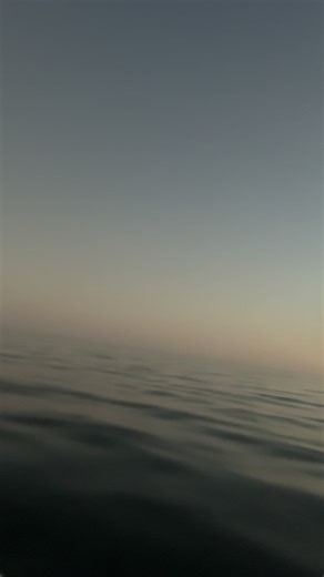 fishing trip #fishing #blowthisup #contender boats#67