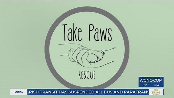 Where Y'at this Weekend: Take Paws Rescue, New Orleans Public Library, 610 Stompers' Debutante Ball, Saenger Theater