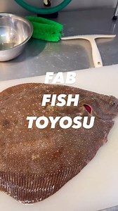 こんにちは☺️ FAB FISH TOYOSUの本日のオススメ🐟✨ カレイ✨ アカウントフォロー宜しくお願いします✨😆 @fabfish.toyosu #豊洲市場 #グルメ #魚 #魚が美味しい #japaneseseafood #カレイ #魚介 #freshseafood #魚が好き #seafoodlover #豊洲グルメ #japanesefish #グルメスタグラム #freshfish #toyosu #toyosufishmarket #fishlover #kurosoi #tokyo #東京 #fabulous | FAB FISH TOYOSU
