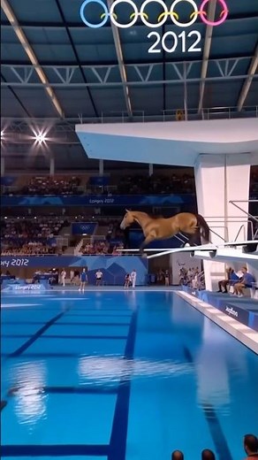 Viral Horse Swimming Video That SHOCKED Everyone 😳💦