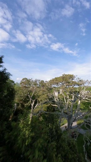 POV: You’ve just joined a Quidditch match over an Irish castle. 🧹 Ashford Castle in County Mayo really does look like a film set from above, with towers, courtyards, and 350 acres of gardens and woodland on the edge of Lough Corrib. The best part? You can actually stay here. Guests swap broomsticks for spa treatments, lakeside walks, and dinners in the grand dining hall. Send this to the friend who’d be first in line for the broomstick race! 📍 Ashford Castle, County Mayo | Discover Ireland CA