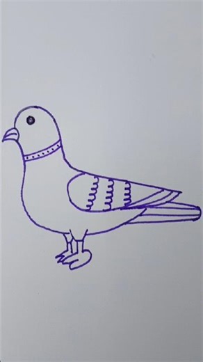 easy drawing 🐦Pigeon✍️#drawing #pigeon #artandcraft #art #artclass #pencildrawing #painting