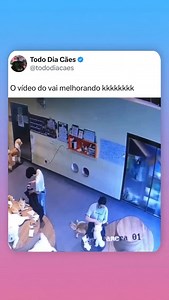 584K views · 13K reactions | Memes Twitter on Reels | Facebook