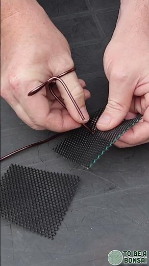 Here’s a quick and easy way to tie down your mesh into the pot 🌳#bonsaitips #learnbonsai