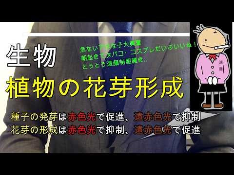 High school biology (specialty) "Flower bud formation in plants"