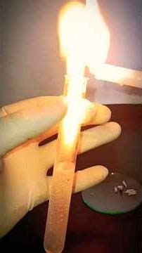 Extracting & Igniting Hydrogen from Water Using Sodium! | Cool Science Experiment 🔥🧪 #shortvideo