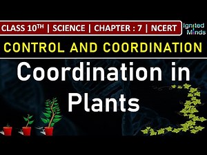Class 10th Science | Coordination in Plants | Chapter 7 : Control and Coordination | NCERT