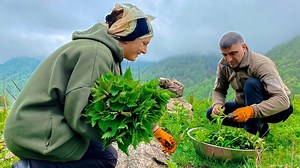 Mountain Nettles Leaves 🥧🥩Harvesting and Cooking a Simple Dish Out of Them!🌿Faraway Village Life | MAMA Cooking