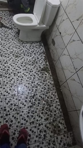 Every step matters. Every detail counts. Pure-Flow Plumbing Service delivers flawless bathroom renovations from start to finish. #LocalPlumbingExperts #everyoneシ゚viralシviralシfypシ゚viralシalシ #localplumbernearme #emergencyplumbernearme #FastPlumbingService #BOREHOLESERVICES #urgentplum #everyoneシ゚ #pureflowservice #yaoundécameroun | Pure- Flow- Plumbing service