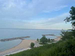 City Council Approves $1.7 Million For Forest Park Boardwalk Rebuild