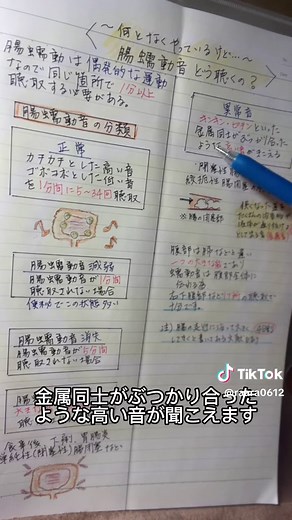 腸蠕動音の聴診と異常音の説明