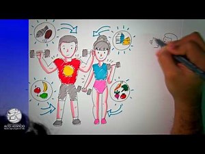 Sistema de Atención Primaria de Salud APS