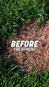 2.1K views | Say goodbye to brown patches! ✨ Here’s the ultimate fix for a lush, green lawn with Pennington Smart Patch. | Pennington Lawn and Garden | Facebook