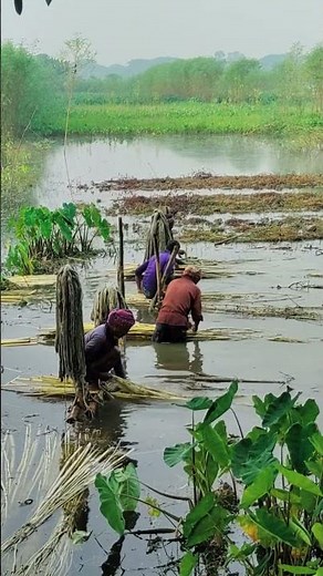The Amazon River’s Hidden Plastic Problem