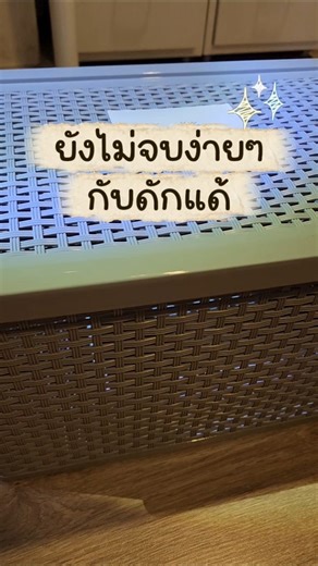 ยังมีเรื่องต้องสะสางกับดักแด้ต่ออีกนิด 🤣 #ผีเสื้อกลางคืน #ดักแด้ #ผีเสื้อ #หนอนไหม #มอธ #หนอนผีเสื้อ
