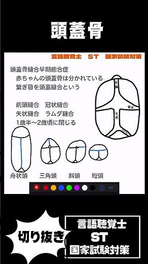 頭蓋骨縫合早期癒合症 トリーチャー・コリンズ症候群 アペール症候群 ピエール・ロバン症候群 ファン・デル・へーべ症候群 クルーゾン症候群