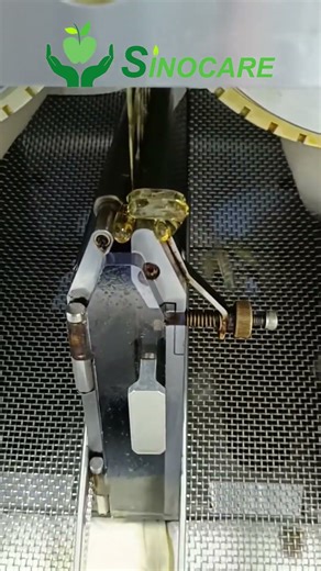 Because real wellness starts with small, consistent choices that help your body feel stronger