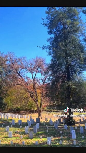 Discover Hollywood Cemetery: A Historical Jewel of Richmond