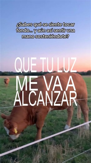 Los mejores corridos tumbados cristianos en VIVO
