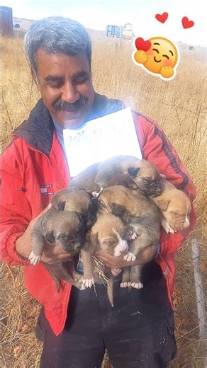 7 YouTube Pups vs Wish One Was Yours? 🐶❤️