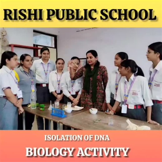 "Unraveling the Code of Life: Grade 12th Students Master DNA Isolation!" At #Rishipublicschool, our senior #Biotech wizards extracted #DNA from #Banana in the lab—hands‑on proof that curiosity fuels discovery. From breaking cell walls to spotting the famous 'gooey' DNA strand, every step reinforced the fundamentals of genetics. Kudos to the class for their keen observation and teamwork! 🧬✨ #ScienceInAction #DNAIsolation #genetics #FutureScientists" | Rishi Public School -Rewari
